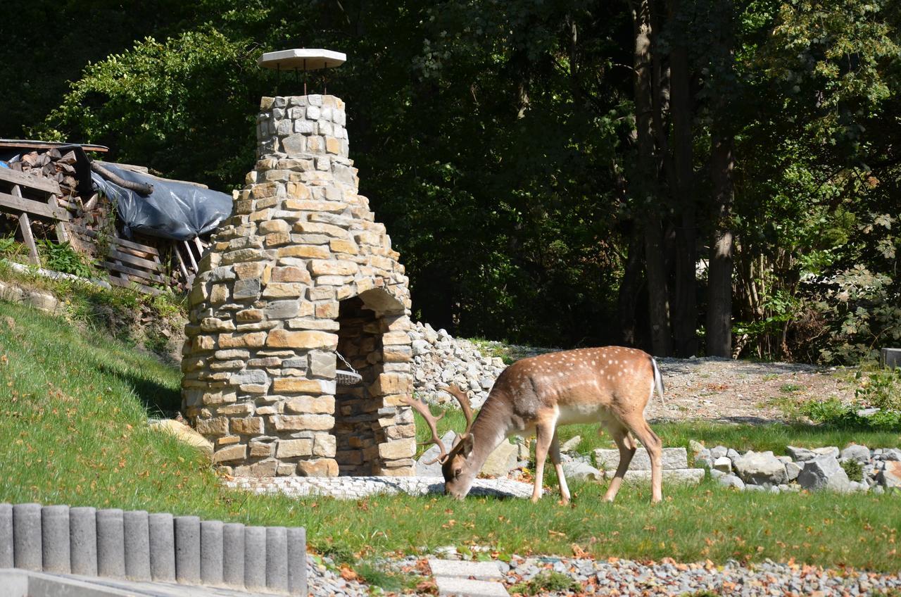 Lesna Polana- Blisko Centrum, Mini Spa, Cicha, Spokojna Okolica, Parking Gratis Resort Krynica Zdroj