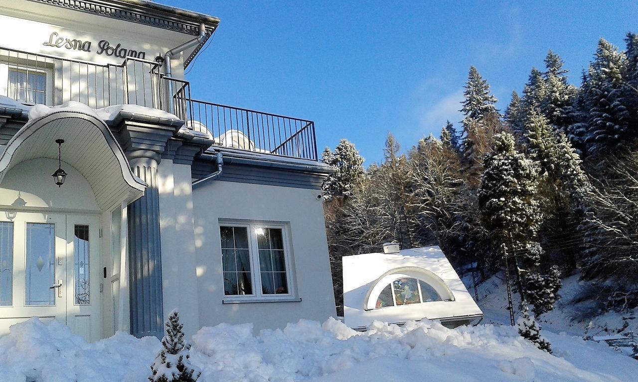 Lesna Polana- Blisko Centrum, Mini Spa, Cicha, Spokojna Okolica, Parking Gratis 3*