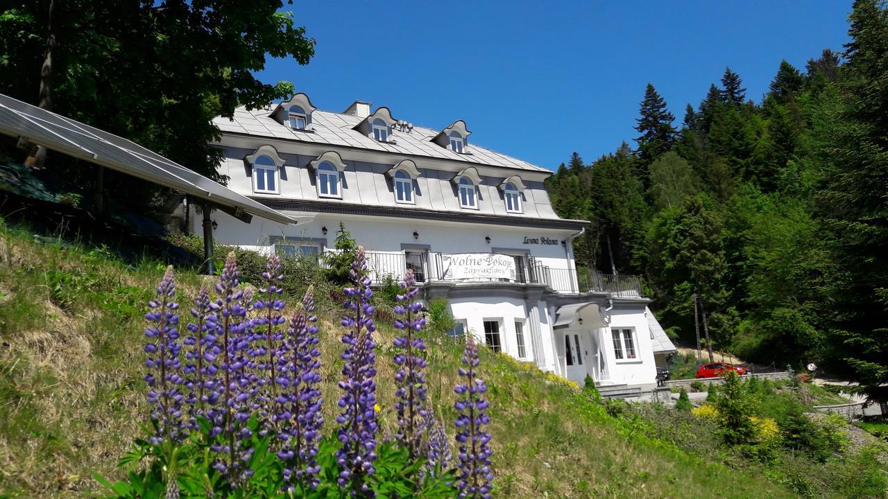 Lesna Polana- Blisko Centrum, Mini Spa, Cicha, Spokojna Okolica, Parking Gratis Resort